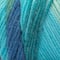 Red Heart® Super Saver® Prints, Multis & Flecks Yarn